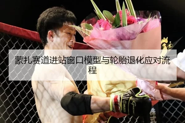 蒙扎赛道进站窗口模型与轮胎退化应对流程
